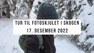Tur til fotoskjulet i skogen - 17. desember 2022