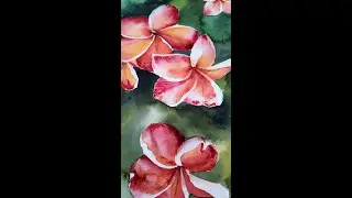 A final touch on tender flowers. Watercolor magic!