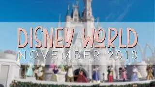 Walt Disney World Vacation - November 2018