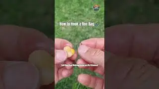 How to Hook a Roe Bag | Fast & Easy Rig for Trout