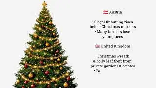 TILL EXEMPEL: Why does illegal Christmas tree cutting increase in Sweden just before Christmas?