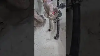 how to change engine coolant bypass valve #automotive #mechanic #DIY #Usa