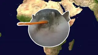 Pufferfish eats a carrot and plays Toto Africa