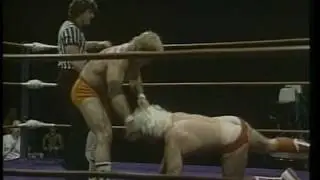 Ric Flair Plumbers Crack 1982