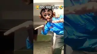 😂गिर गया बंदर🤣 funny video Anya video#RemixShorts #FunnyRemix #ComedyShorts #viralshorts