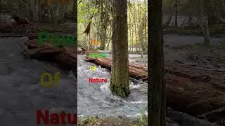 Raw POWER #nature #explore #short
