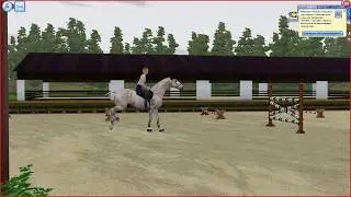 I tried | SIMS 3 horse default animation replacement