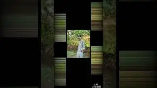Khero Pyaar naha milto kedal aadivasi trending song 🎥🎧💔