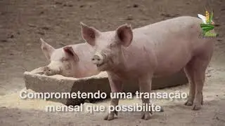 Pr&aacute;ticas de sucesso COPROFAM - Cooperativa 