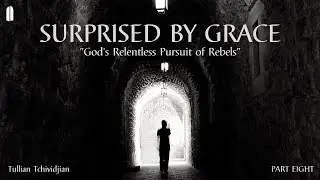 Surprised by Grace, Part 8 | 