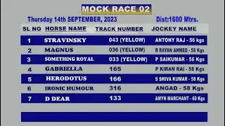 Mock Race 2