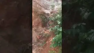 Discovery! Local water fountain with refreshing nature sounds..