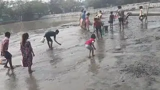 বালুর ভিতর কয়লা খুজতেছে