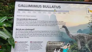 🦕 **Gallimimus bullatus in Burgers&rsquo; Zoo | Educatieve 360&deg; VR Video | Bewegende Replica**