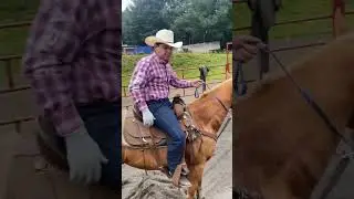 Como montar caballo #Vaqueros 🐴