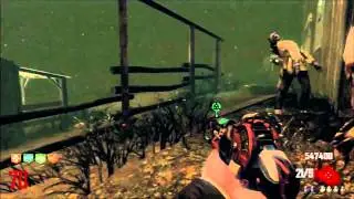 Farm round 71 suicide