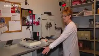 Sensitometry Test