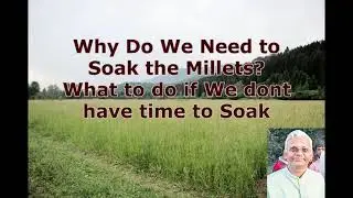 Why do we need to Soak Millets? What to do if we don't have time to soak?  Dr Khadar lifestyle