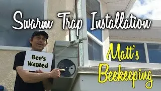 Swarm Trap Installation - Matt's Vlog #05