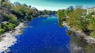 Napanee River drone footage