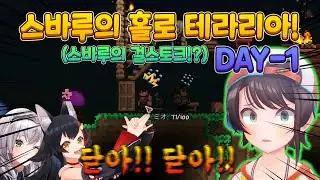 [Holo Live] Subaru's Holo Terraria!