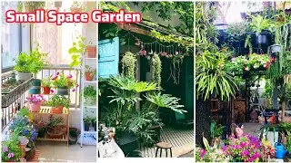 Small Space, Big Harvest: Container Gardening for Beginners