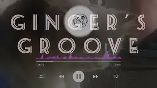 GINGER&rsquo;S GROOVE 🐈⬛ Secret Cat-Disco Anthem! | Madei Studio | Official Audio (Tropical Dance Pop)