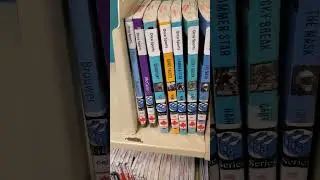 What Are Orca Reads?