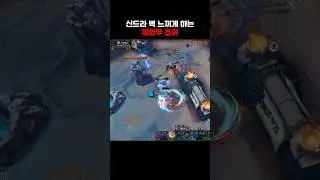 신드라 벽 느끼게 하는 제영우 조이
