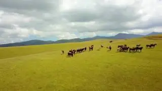 Assy plateau, Kazakhstan