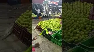 apmc fruit market Vashi Navi Mumbai #apmc #fruit #market #vashi #apmcfruit market Vashi Navi Mumbai