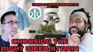 Episode 11:  Phytofacts - Weed Lab Testing | The Smarter High with the Scyfli Smoke Shop