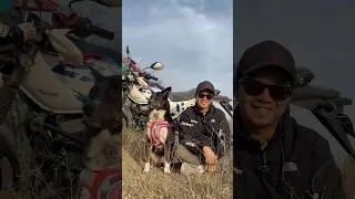 What is Northeast riders meet? #shortsvideo