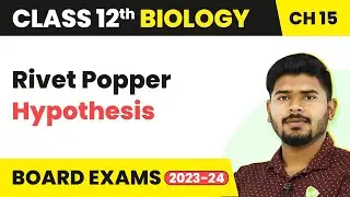 Rivet Popper Hypothesis - Biodiversity & Conservation | Class 12 Biology Ch 15 NCERT/NEET (2022-23)