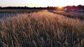 Sonnenuntergang Schapa