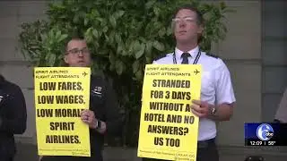 AFA Spirit on ABC Action News at Noon: Flight Attendants Protest