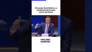 EU lawmaker David McAllister on strengthening the European security and defense