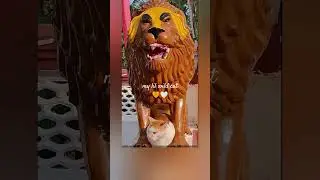 #naughtypets #cat #cute #kitten #momosdiaries #funnyanimals #animals #pets #wildcats #tabbycat #wild