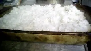 Chicken Divan with broccoli and rice