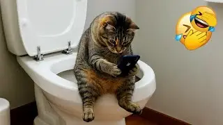 You Laugh You Restart 💝 Funniest Cats and Dogs 2026 🐩 😸 Part 11