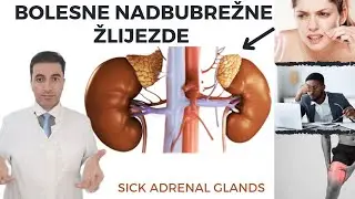 Как ПРОЯВЛЯЮТСЯ ЗАБОЛЕВАНИЯ НАДПОЧЕЧНИКОВ НА КОЖЕ, СЕРДЦЕ, МЫШЦАХ, КОСТЯХ...?