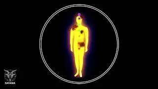 Audio To Destroy & Remove Astral Parasites, Attachments, Implants & Larvae (Freq. Burner) (1 Hour)