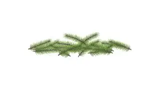 Christmas Tree Leaves Falling Abundantly | Animation | White Screen