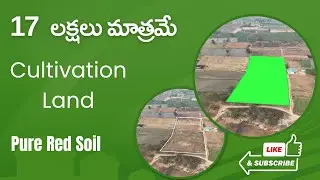17 లక్షలు మాత్రమే ఎకరం ||#rjrpropertiesservices ||#agriculturalland ||#farmland ||#land 