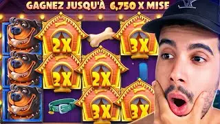 THE DOG HOUSE ME REND RICHE 💸 BEST OF LIVE #16 #bichou #casino #slot #bestof 