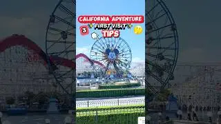 I WISH I Knew This Before California Adventure 😭🎡 (First Visit Tips)