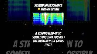 Midday Update 6/22/25 #SchumannResonance #SchumannUpdate #EnergyShift #BlackoutMode