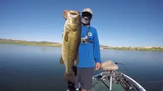 30 lb bag 5 BASS Limit!!!