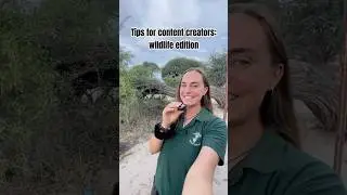 Tips for Creating Content in Wildlife Conservation | Social Media Tips #wildlife #contentcreator