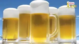 Talking Beer 8/5/15